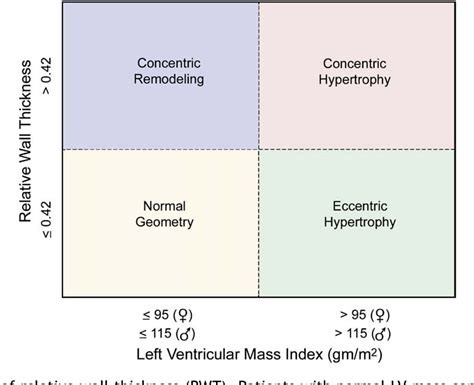 lv chamber quantification